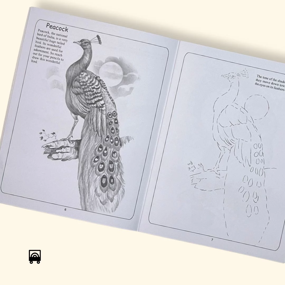 Pencil Shading Workbook for Kids – Learn how to shade art book